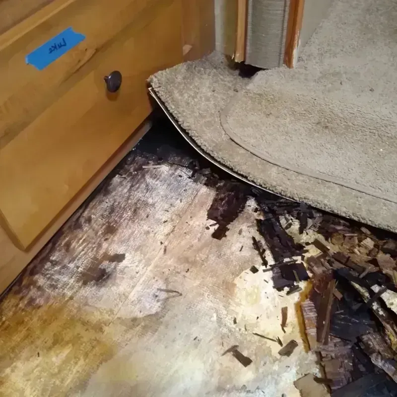 Wood Floor Water Damage in Boise County, ID